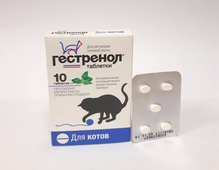 Форвет капли глазные для кошек