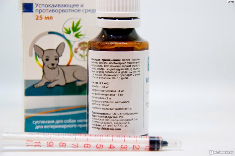 Обстричь коту штаны