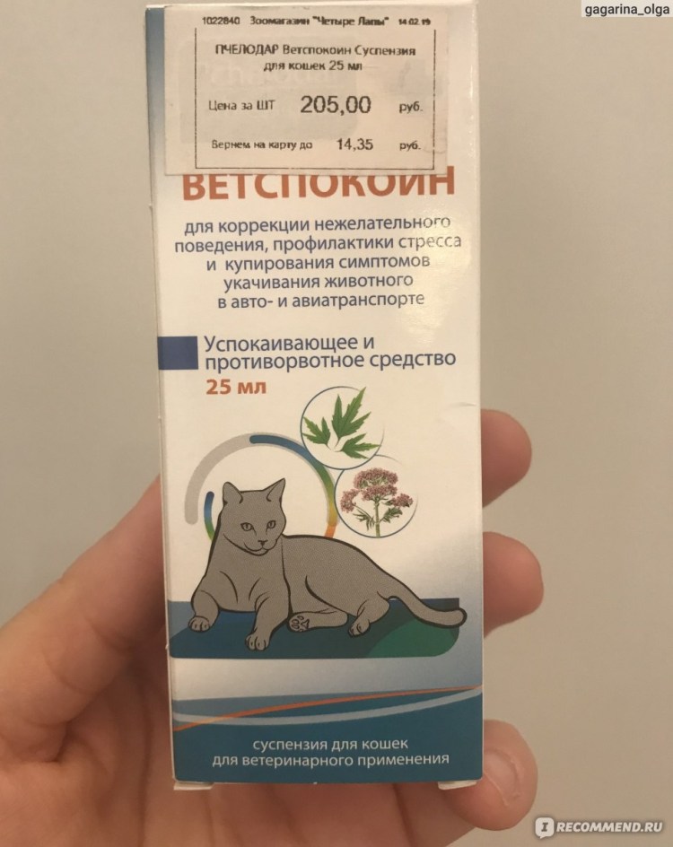 Успокоительное для кошек
