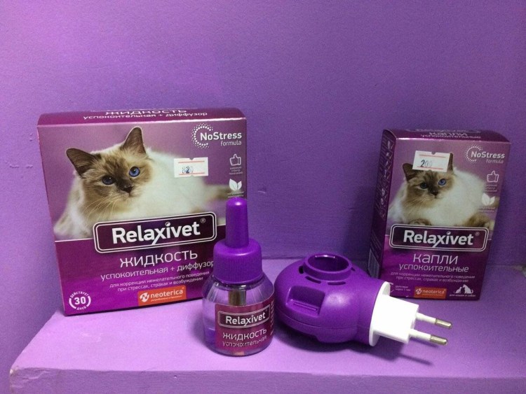 Успокоительное для кошек