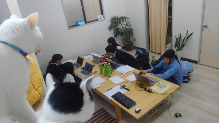 Офис с котами