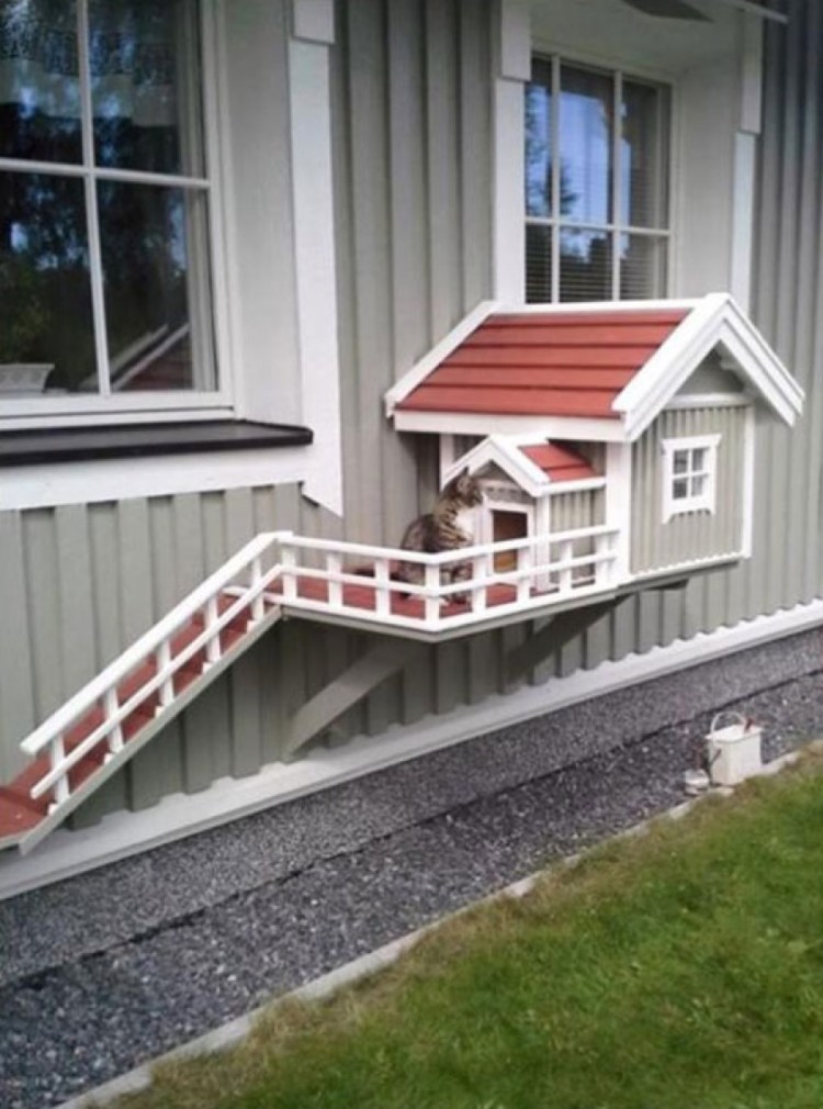 Уличный домик для кошки с подогревом