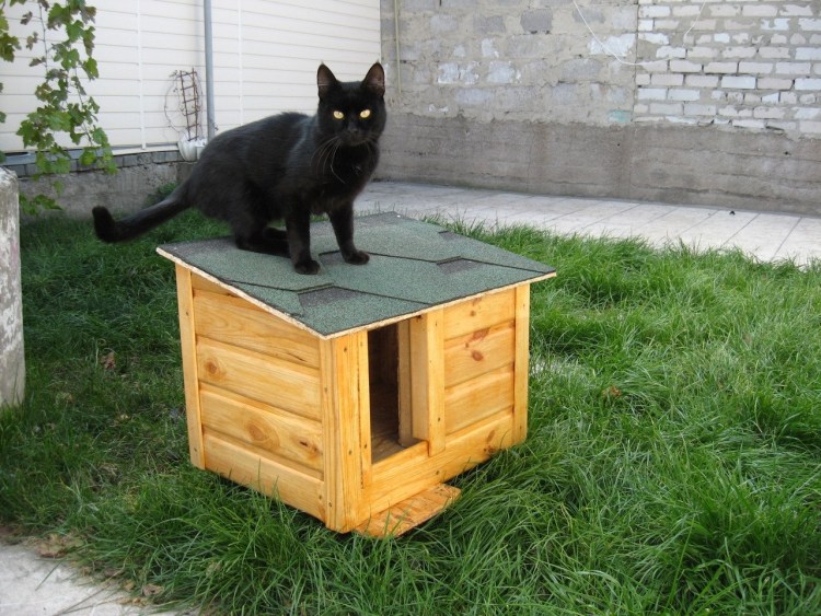 Зимние домики для бездомных кошек