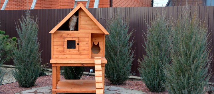 Домик уличный для кошек зимний