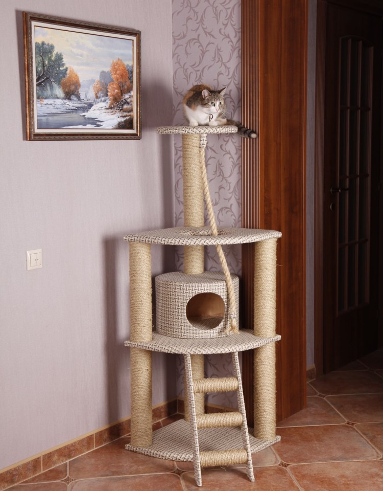 Базилио комплексы для кошек