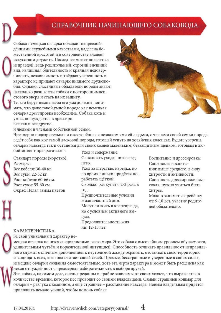 Щенок на руках