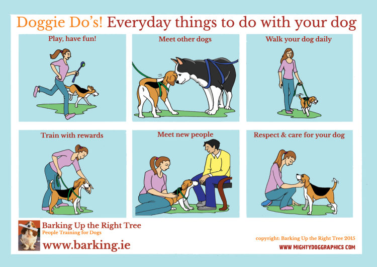 Стандарт немецкой овчарки кобель