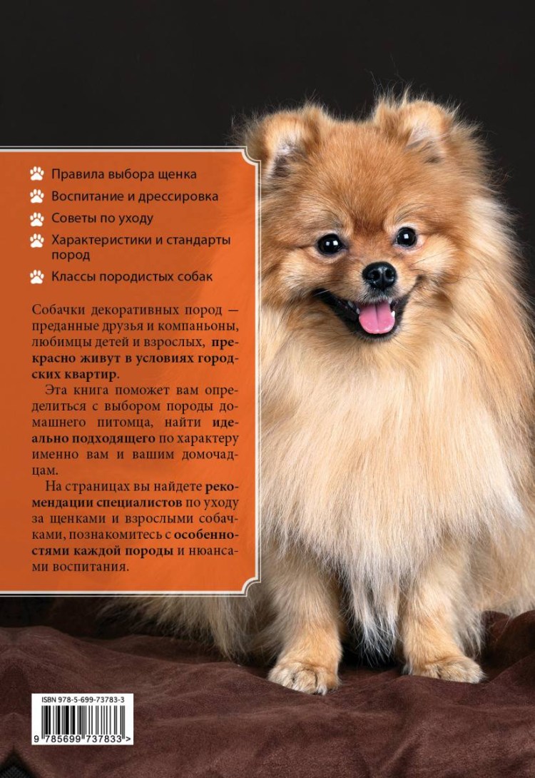 Собака и человек