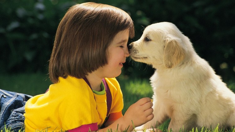 Щенок овчарки с мамой