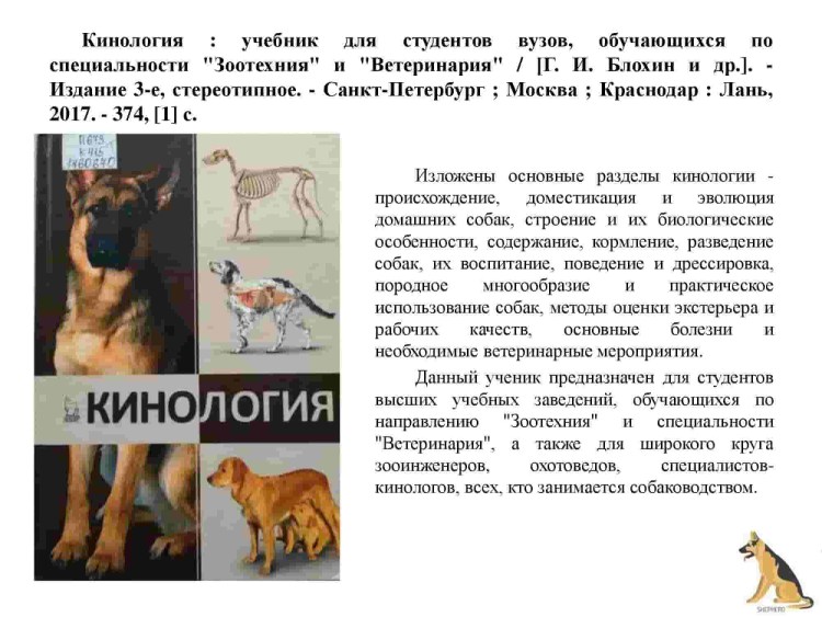 Щеночек описался