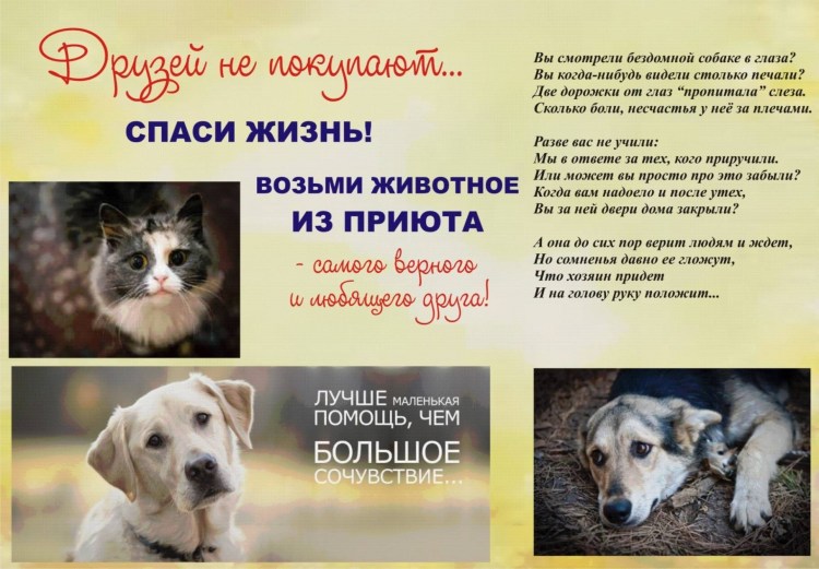 Ховаварт и ретривер