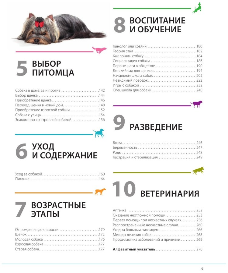 Собака играет