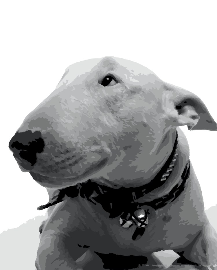 Бультерьер рисунок