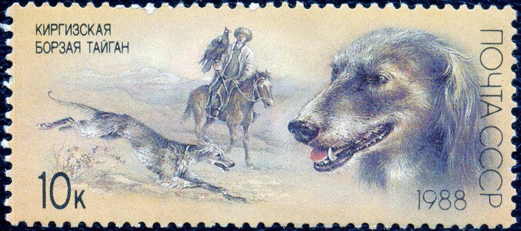 Собаки кочевников