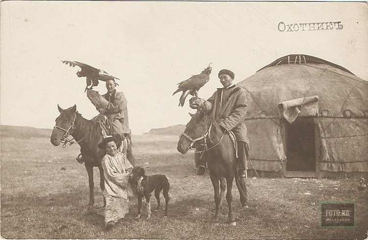 Волкодав алабай