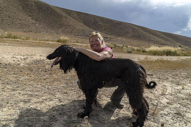 Киргизский волкодав Тайган