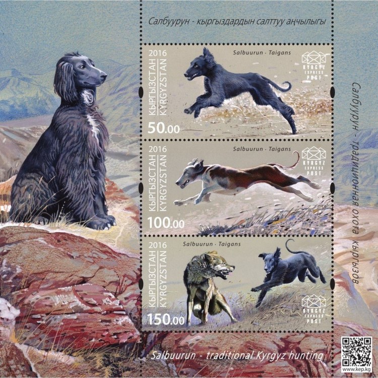 Киргизская собака Тайган