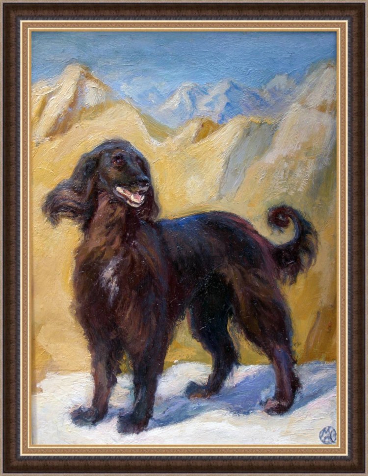 Рост короткий собаки по кыргызски