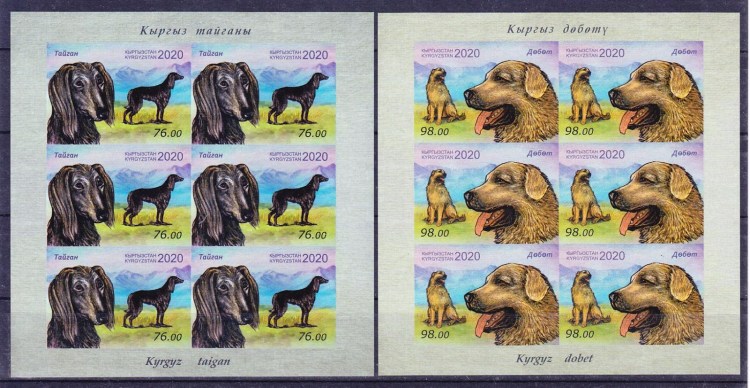 Тайган Киргизская борзая