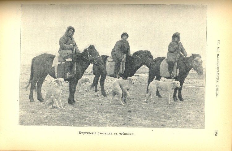 Соколиная охота в Туркмении Вадим Горбатов