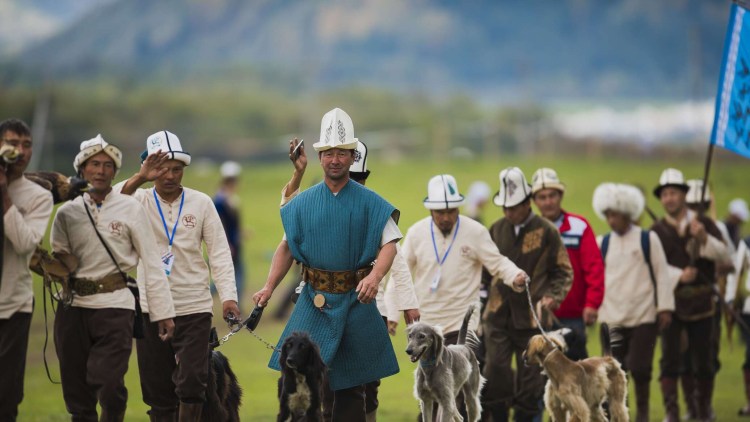 Гамильтон тайганы сурот