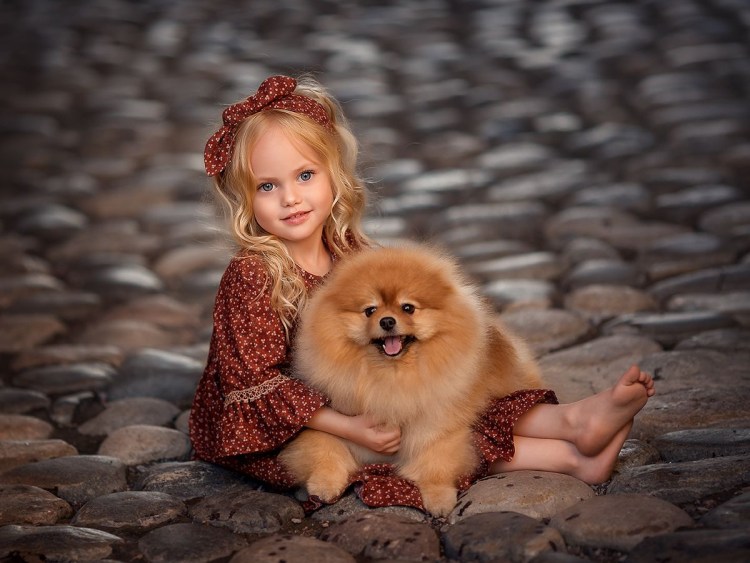 Шпиц и дети