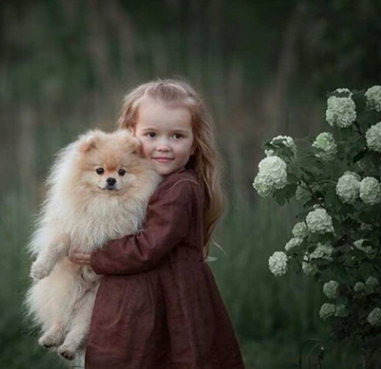 Фотосессия девушка со шпицем