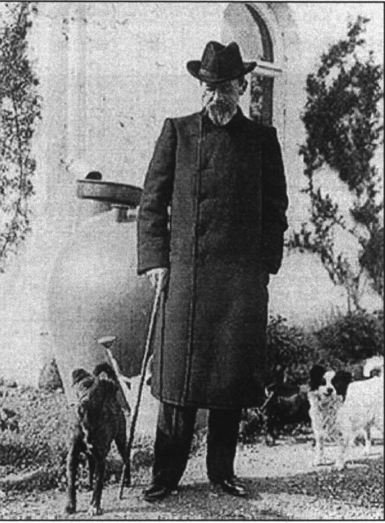 Фестиваль таксы Чехова