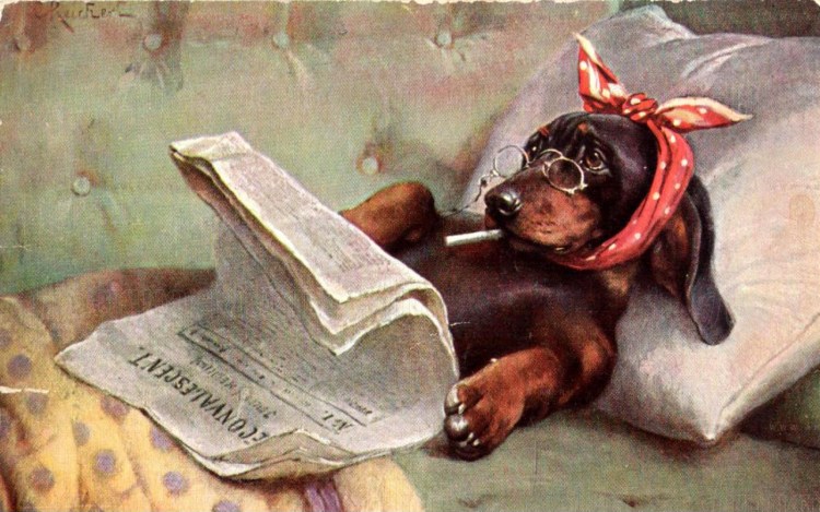 Фестиваль такс в Мелихово 2022