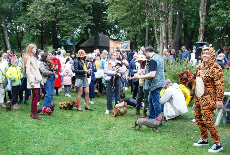 Фестиваль такс в Мелихово