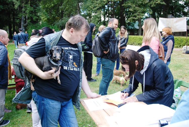 Фестиваль такс в Мелихово 2022