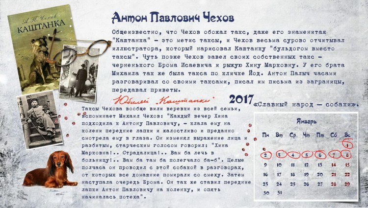 Такса Антон