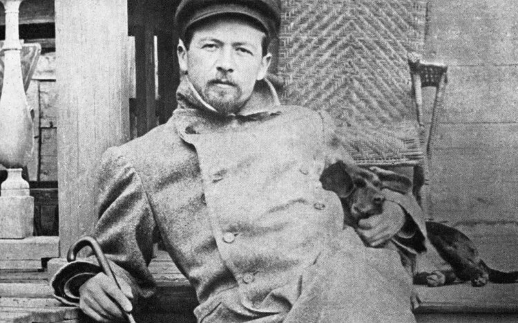 Таксы Чехова бром и Хина