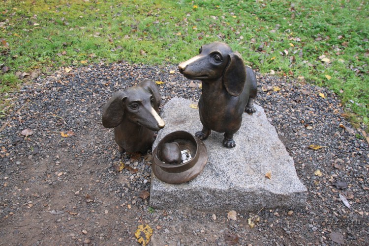 Таксы Чехова бром и Хина