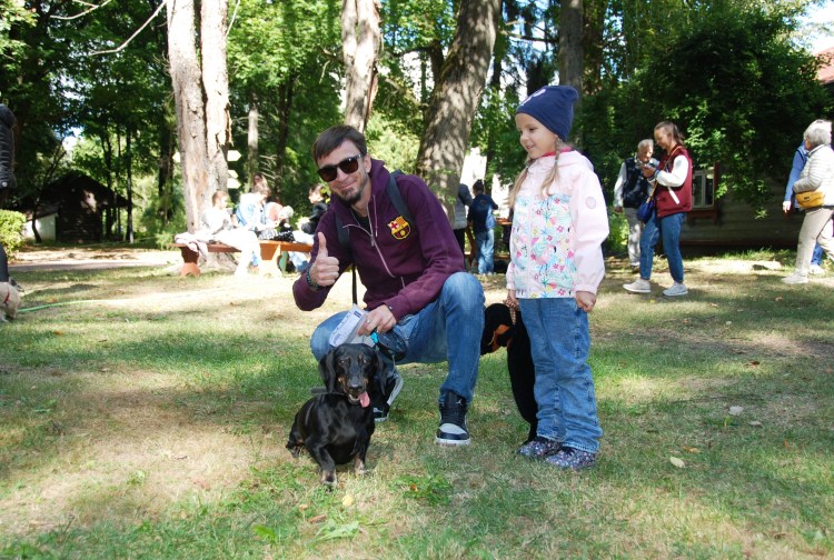 Такса Богачо