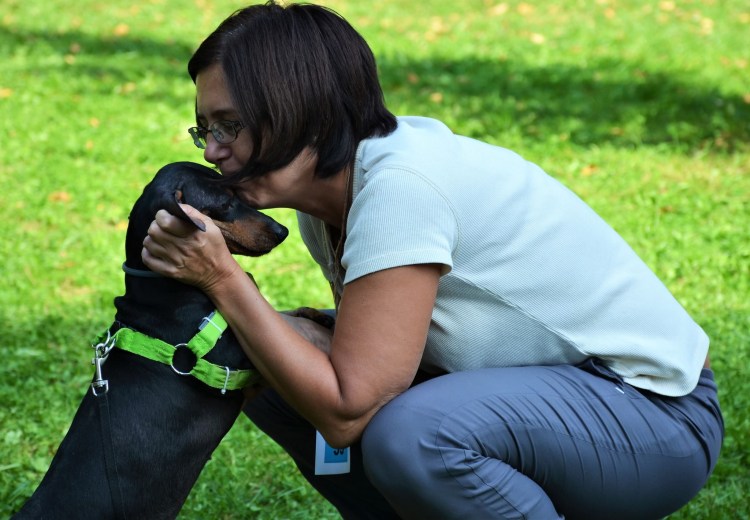 Открытки с таксами