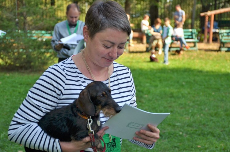 Фестиваль такс в Мелихово 2022