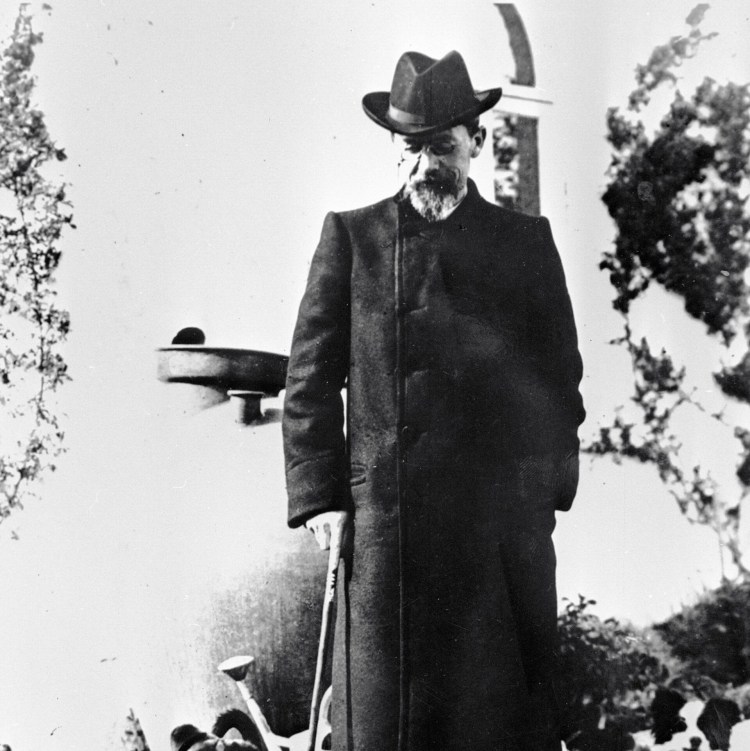 Таксы Чехова в Мелихово