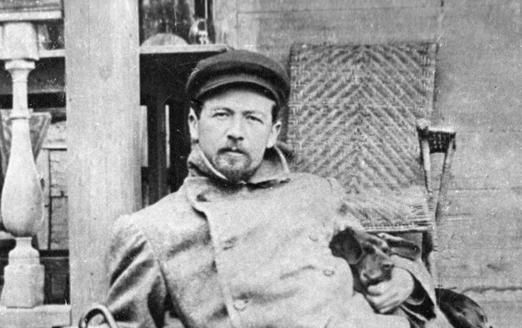 Фестиваль такс в Мелихово