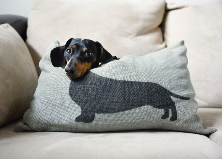 Владимир Набоков и его таксы