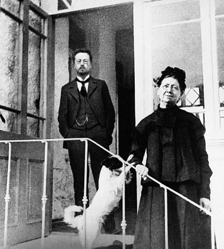 Таксы Чехова в Мелихово