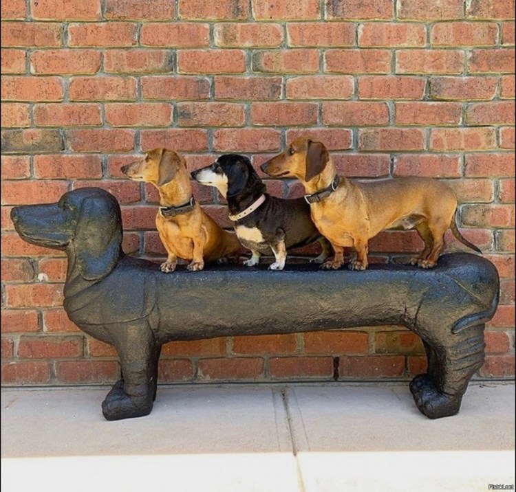 Такса 1 сентября