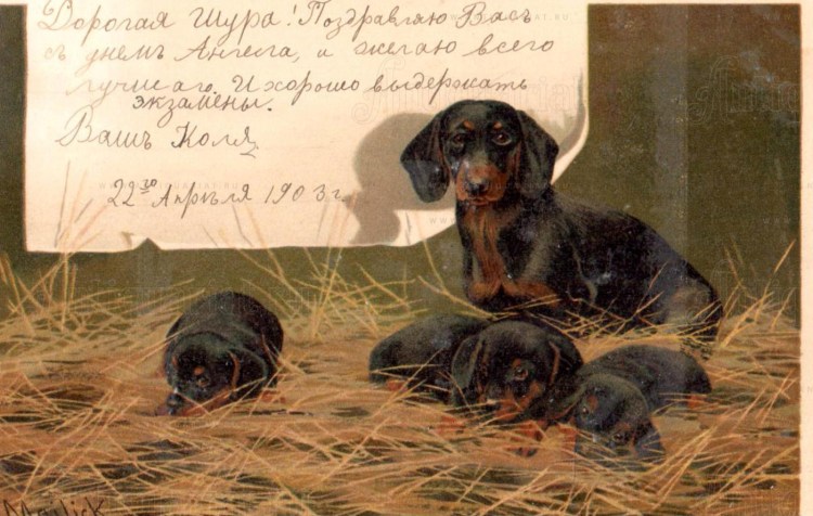 Таксы Чехова