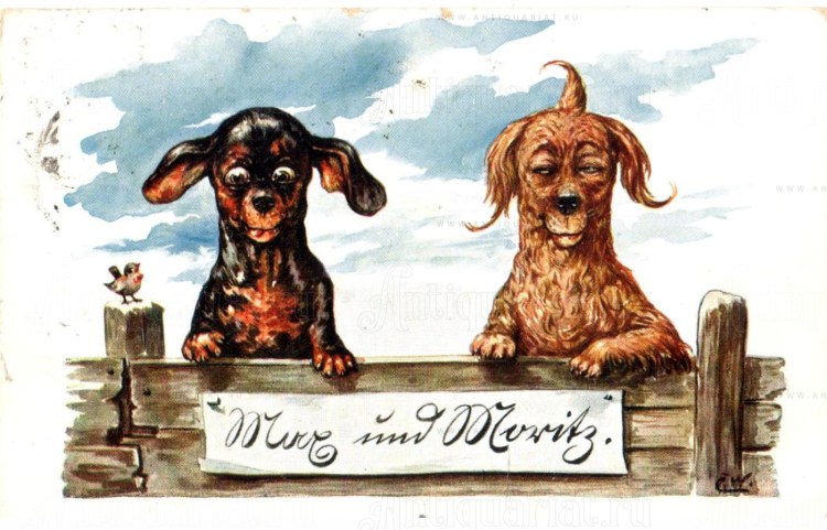 Таксы вместе