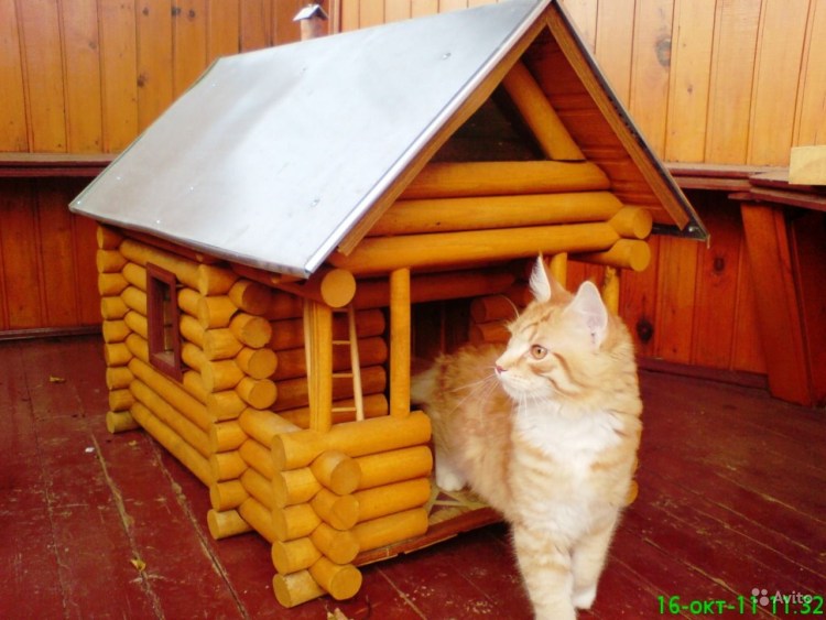 Дом для кошки деревянный уличный