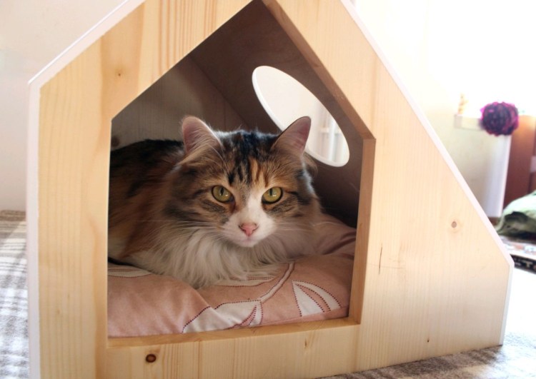 Домик для кошек