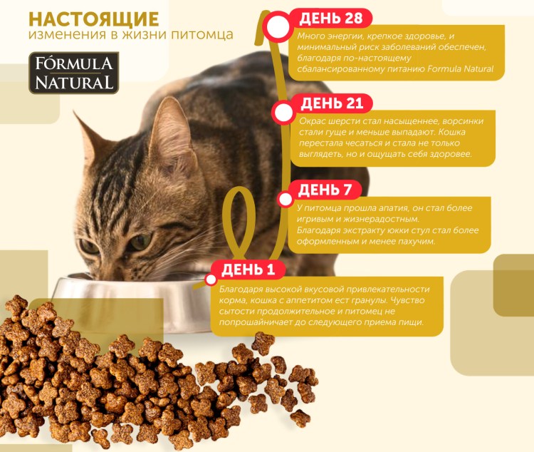 Процент стерилизованных кошек