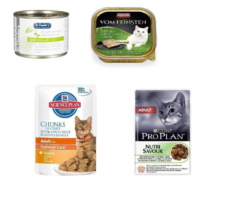 Корм для котят Ontario с курицей 2 кг