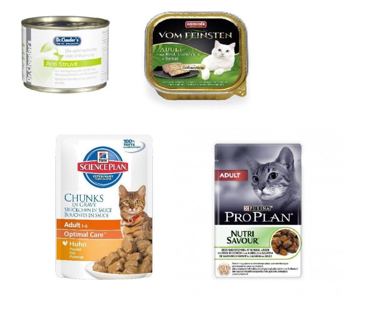 Корма для кошек холистик