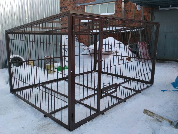 Немецкая овчарка рост в холке